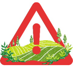 Plantation and Agriculture Scams