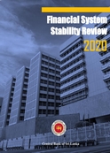 Financial System Stability Review 2020