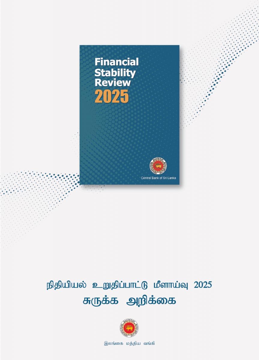 Financial System Stability Review 2025