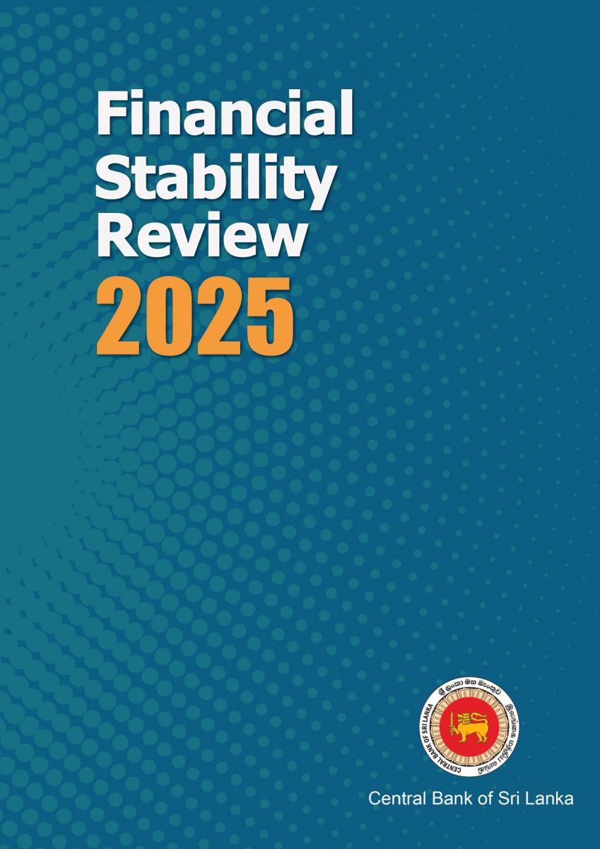 Financial System Stability Review 2024